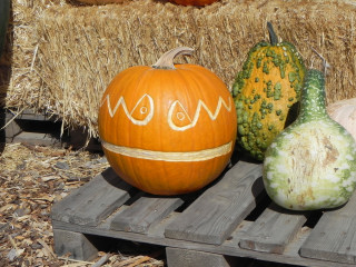 Space Man carved Pumpkin,  Nipomo Pumpkin Patch best carving idea